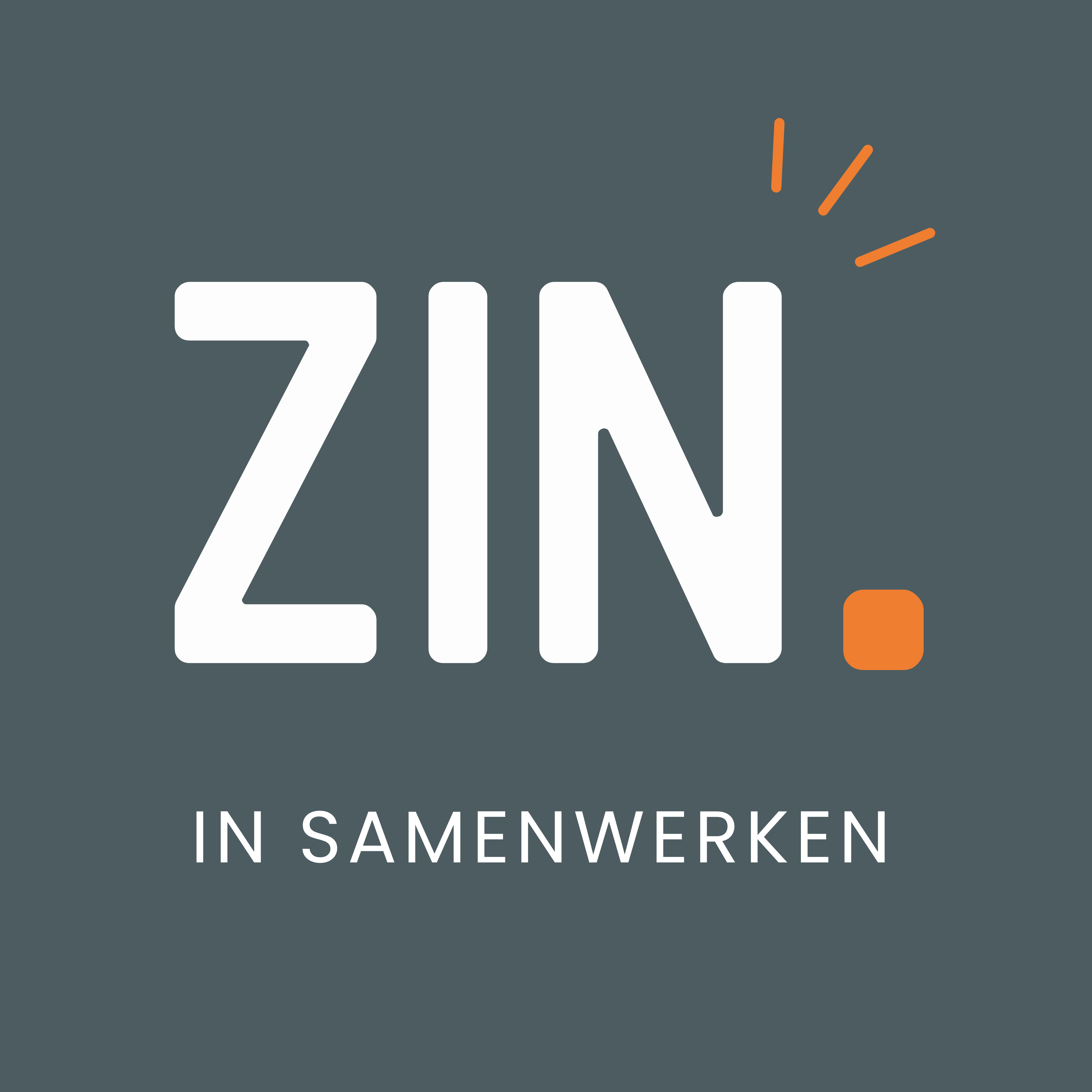 ZIN. in Samenwerken